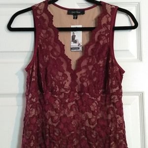 *Brand New*Karen Kane Lace dress with beige lining